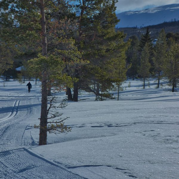 a person riding skis down a snow covered slope